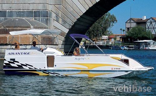 Advantage Party Cat LX 26