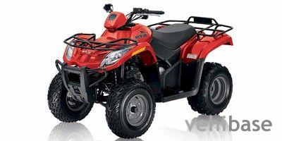 Arctic Cat 300