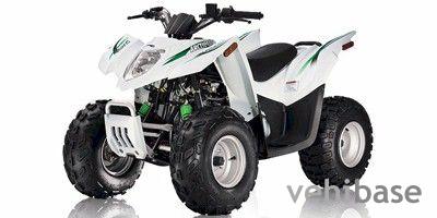 Arctic Cat 90 DVX Youth