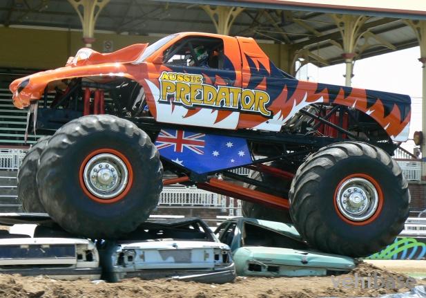 Aussie Predator