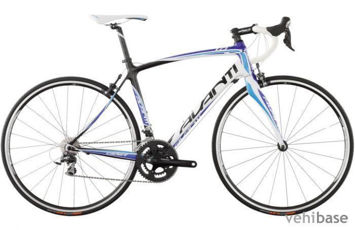 Avanti Cadent 1.0