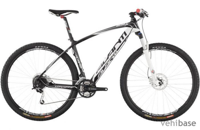 Avanti Competitor 29.1
