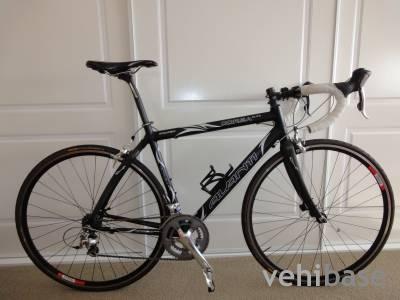Avanti Corsa Elite