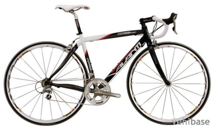 Avanti Corsa Team
