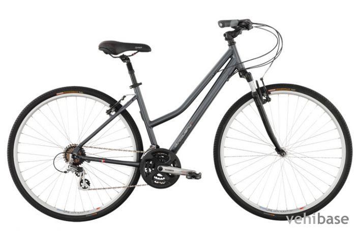 Avanti Discovery 2.0 Low