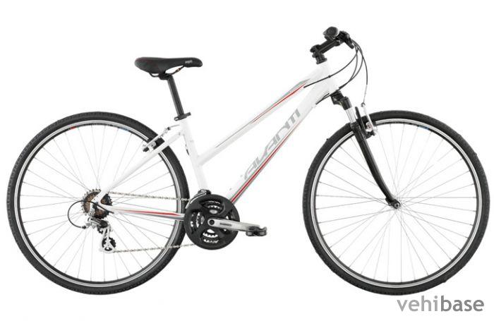 Avanti Explorer 1.0 Low