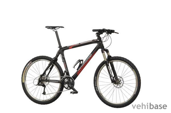 Batavus AM650