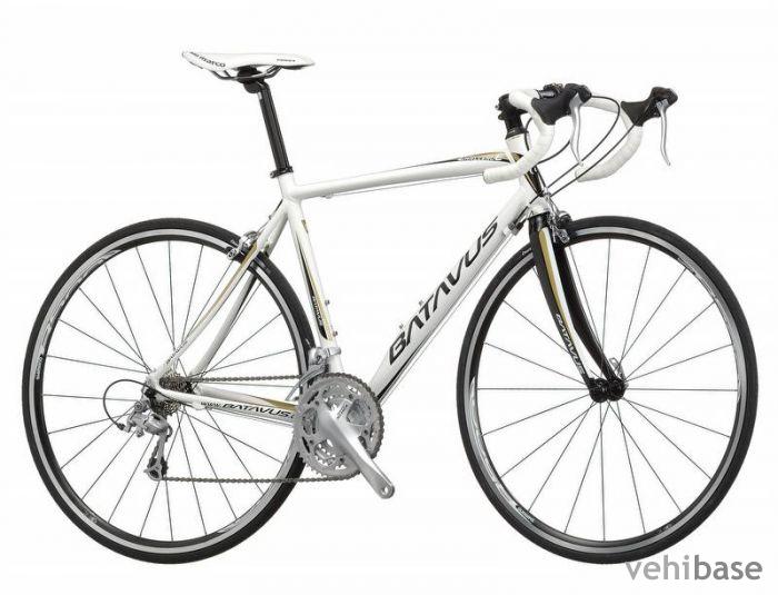 Batavus Challenge