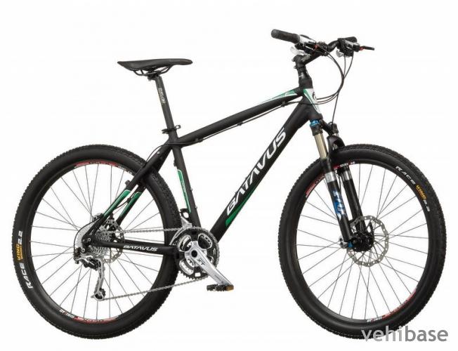 Batavus Cyclone