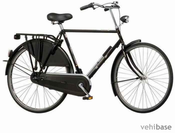 Batavus Favoriet
