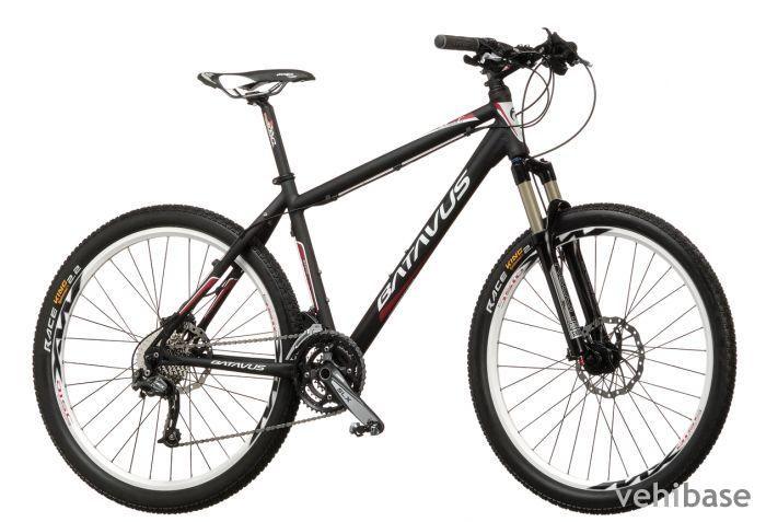 Batavus Mystic