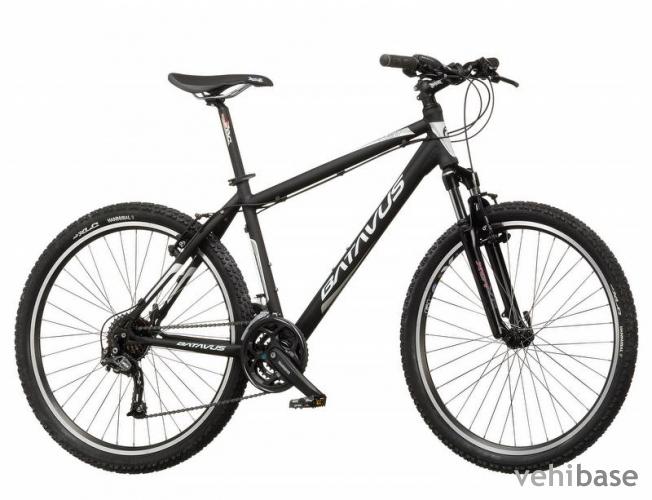 Batavus Raid