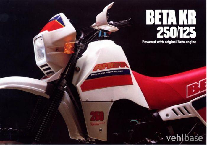 Beta Motor KR 250