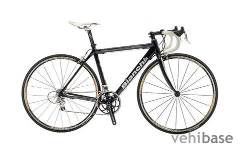 Bianchi Daniela