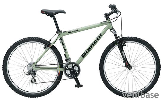 Bianchi Ocelot