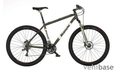 Bianchi Sok 29er Multi Speed