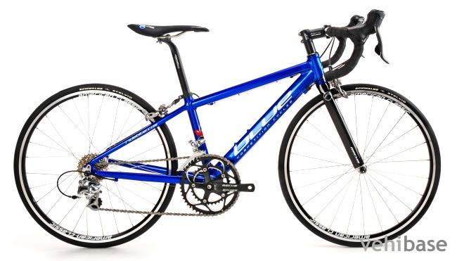 Blue 2 Four