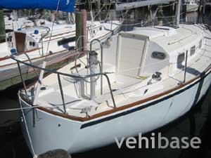 Bristol 29