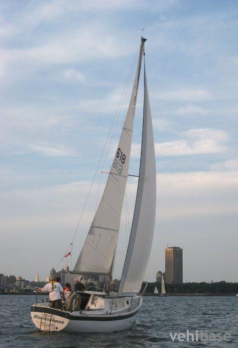 Cal 29-2