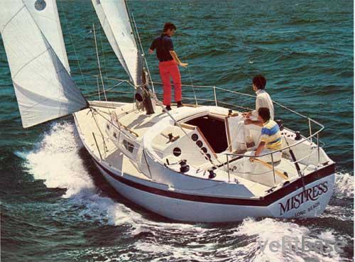 Cal 30