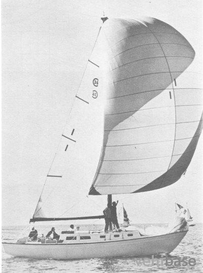 Cal 36