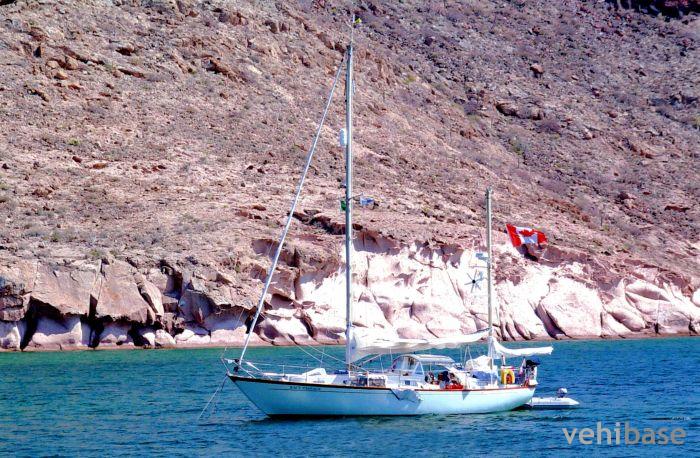 Camper & Nicholson 38