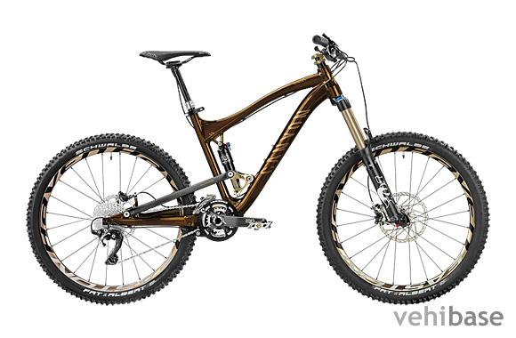Canyon Strive ESX 9.0 SL