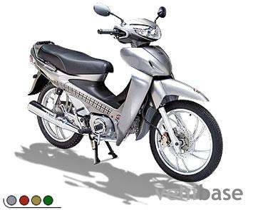 Clipic Frog 125