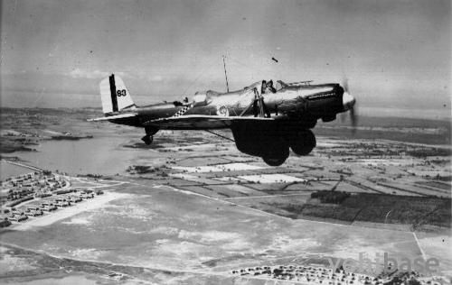 Curtiss A-8 Shrike