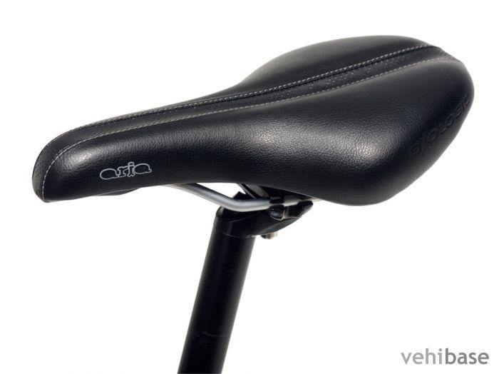 Dahon Bullhead