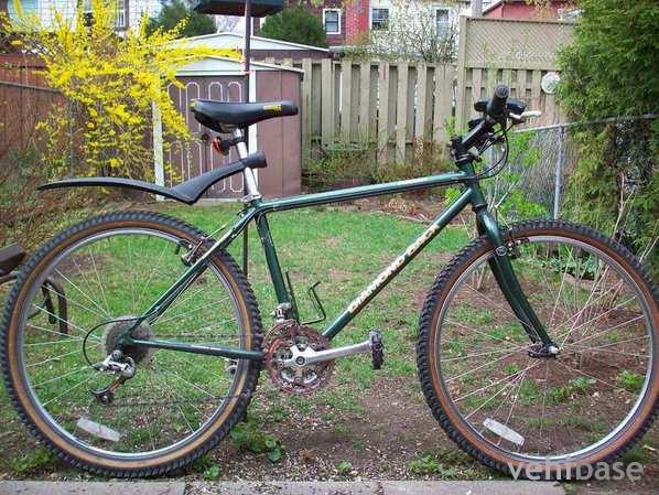 Diamondback Ascent