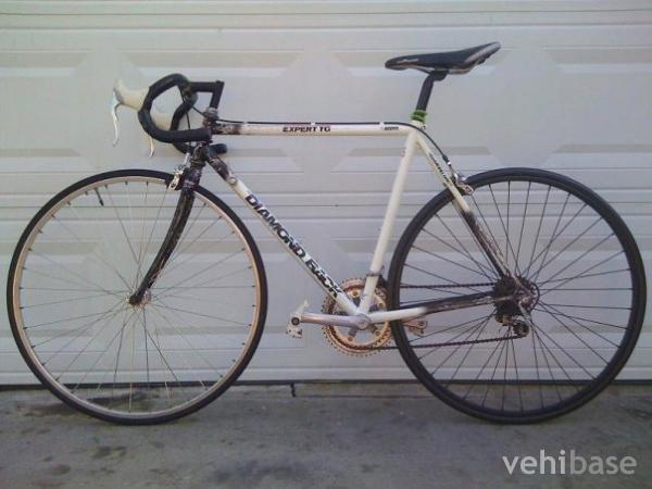 Diamondback Expert TG