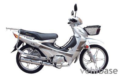 Dongfang Lingyun DF110-2