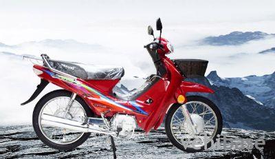 Dongfang Lingyun DF110-A
