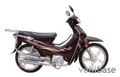 Dongfang Lingyun DF110
