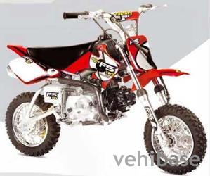 Factory Bike Mini Desert FS 110