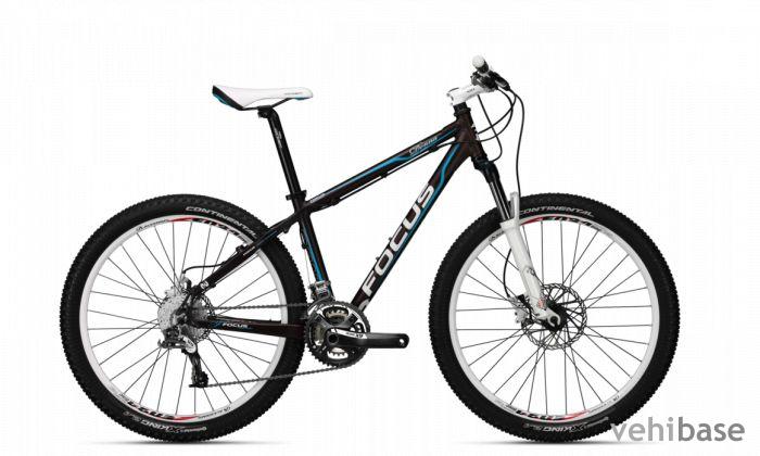 Focus Donna HT 1.0