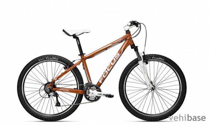 Focus Donna HT 3.0