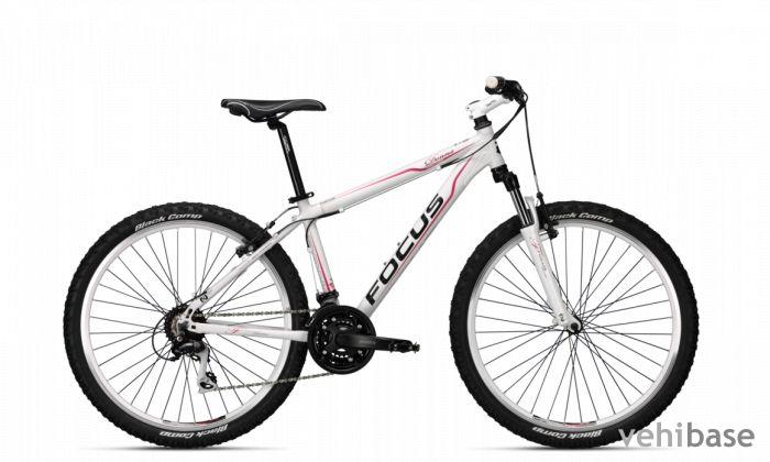 Focus Donna HT 4.0