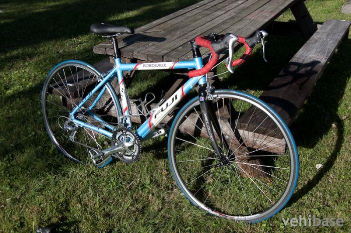 Fuji Bordeaux