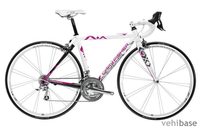 Gary Fisher ARC Pro GS