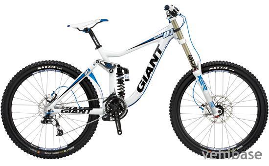 Giant Glory 1