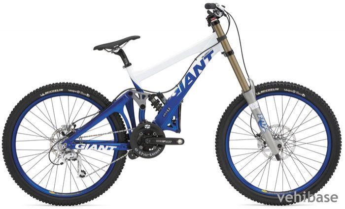 Giant Glory DH