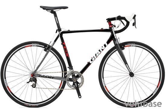Giant TCX