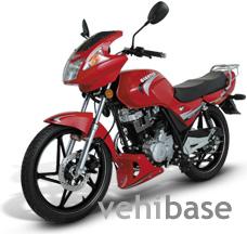 Giantco Hunter Sport  200