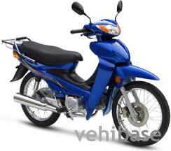 Giantco Raider 110