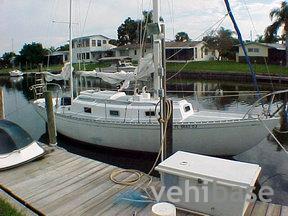 Grampian Classic 31