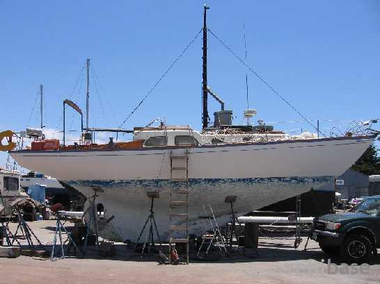 Grampian Classic 37