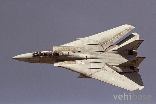 Grumman F-14 Tomcat