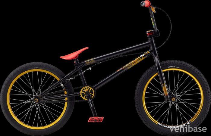 GT Steed